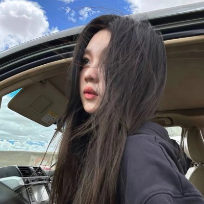 鸽之翼
